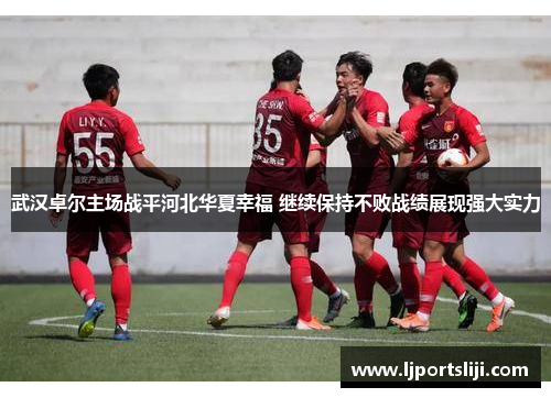 武汉卓尔主场战平河北华夏幸福 继续保持不败战绩展现强大实力