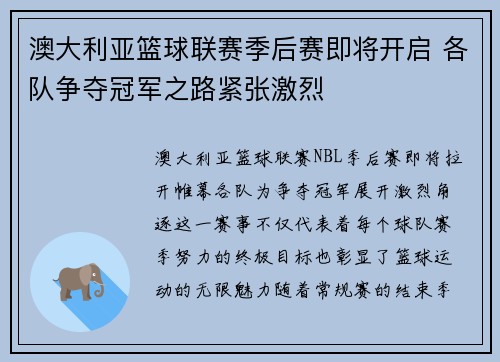 澳大利亚篮球联赛季后赛即将开启 各队争夺冠军之路紧张激烈