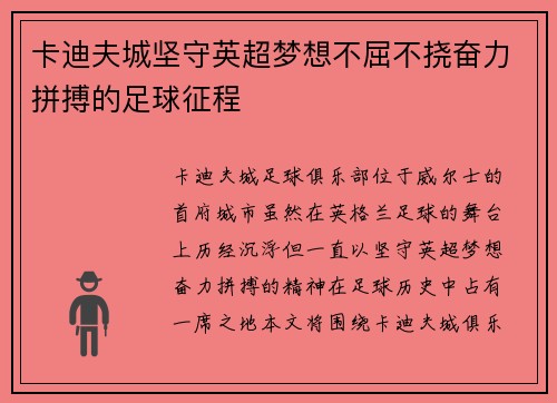 卡迪夫城坚守英超梦想不屈不挠奋力拼搏的足球征程